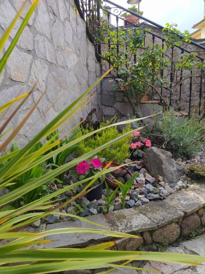 La Granda De La Concha Villa Nueva De Llanes Eksteriør bilde
